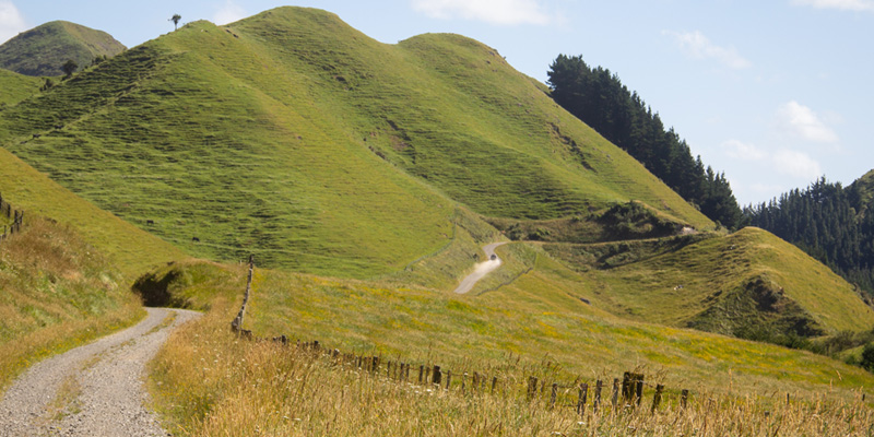 Dannevirke Explore Pt 1 | NZ SUV